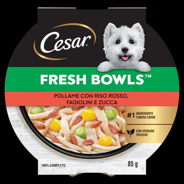 Alimento umido Cesar Fresh Bowls Pollame Riso Rosso Fagiolini Zucca 85 g per cani adulti Alimento umido Cesar Fresh Bowls Pollame Riso Rosso Fagiolini Zucca 85 g per cani adulti